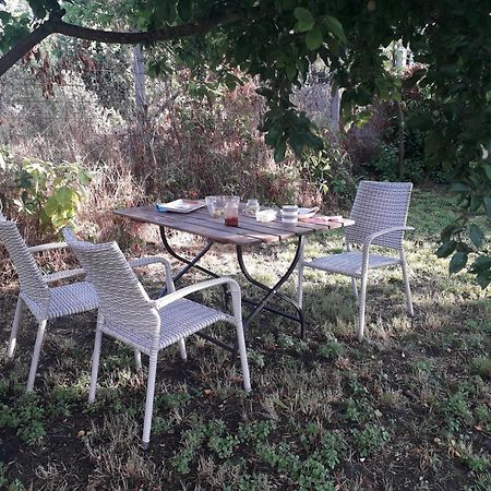 Joevo Het Pihenohaz Villa Poroszló Kültér fotó