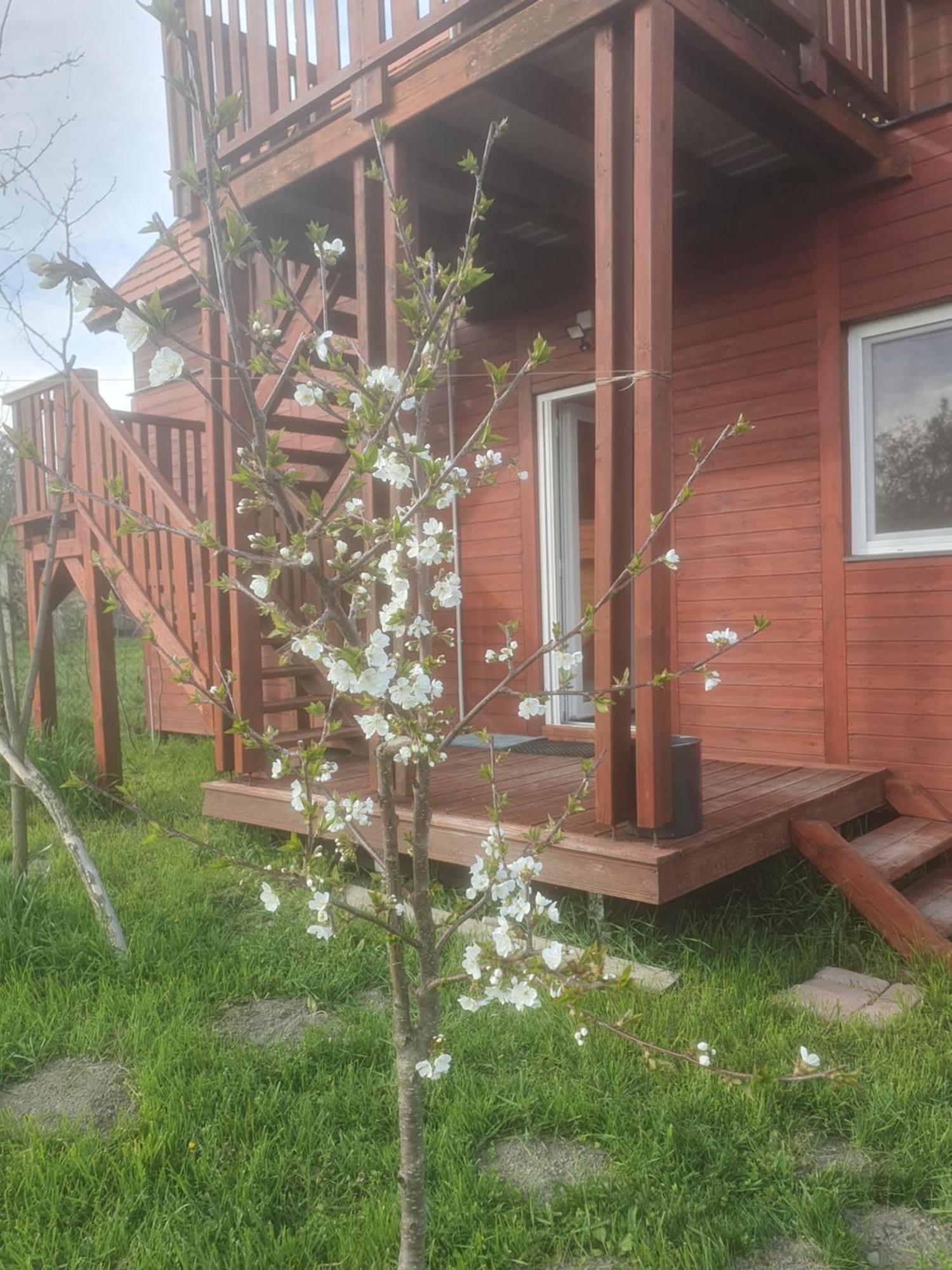 Joevo Het Pihenohaz Villa Poroszló Kültér fotó